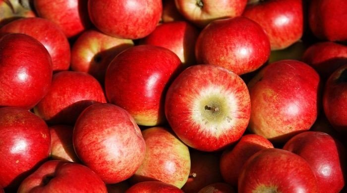 Billede af æbler
